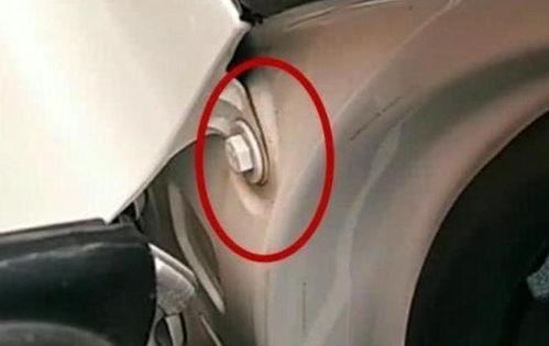 国产网,引领潮流，打造民族互联网新生态  第3张