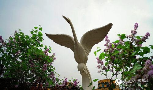 丁香五月国产 第3张 丁香五月国产 第3张