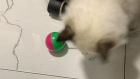 国产拍偷,揭秘镜头背后的偷拍艺术  第2张