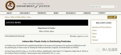 国产华人在线,探索中国互联网文化新篇章  第3张