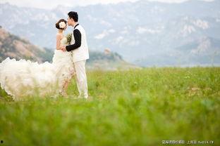 青青青草国产免费,国产影视的清新之作 第2张 青青青草国产免费,国产影视的清新之作 第2张