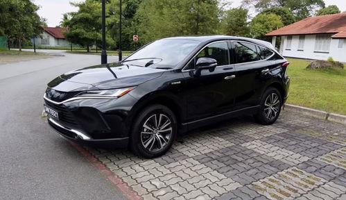 国产18p,探索中国影视产业的创新与突破  第2张